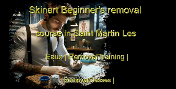 Skinart Beginner's removal course in Saint Martin Les Eaux | RemovalTraining | RemovalClasses | SkinartTraining-France